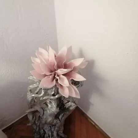 Niki Hvar Apartman *