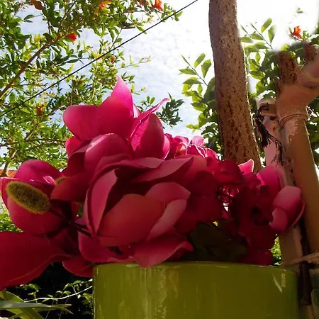 Apartman Niki Hvar Hvar Town