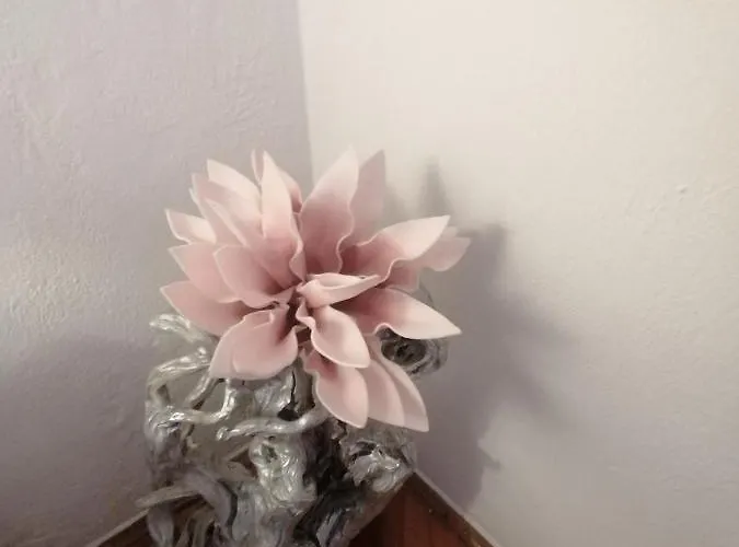 Niki Hvar Appartamento *