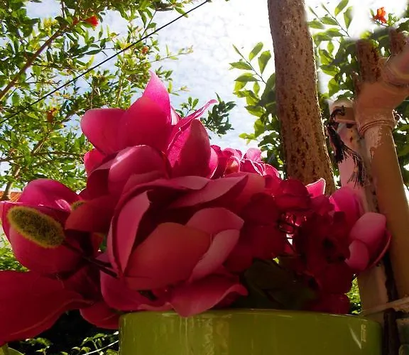 Apartment Niki Hvar Hvar Town